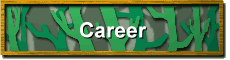 Career